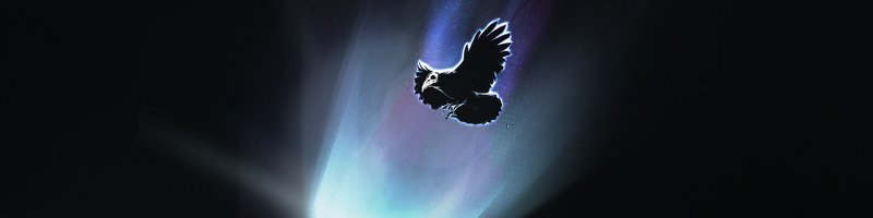 Raven flying through a glowing portal, Elijah Loving's Patreon banner art
