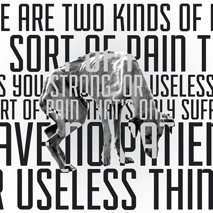 Student work, typographic poster