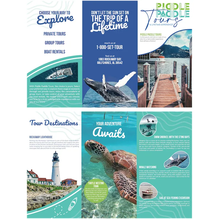 Student work, tri-fold brochure design